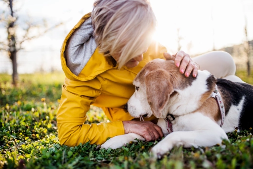 6 Formas Adoráveis de Demonstrar Carinho ao Seu Cão